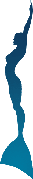 Logo Conservation Freediving Bohol- Freediving Philippines