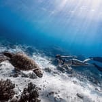 Freediving as part of a sustainable lifestyle