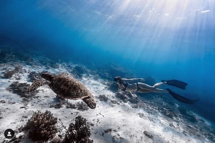 Underwater photography courses- photo by Janmi Wong