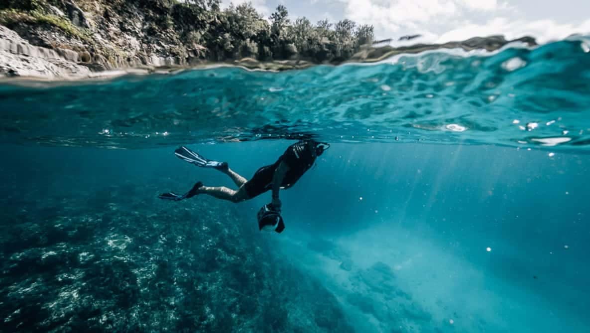 Underwater Photography Courses CONSERVATION FREEDIVING Bohol
