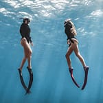 Launching of My Freediving Instructor.com Marketplace