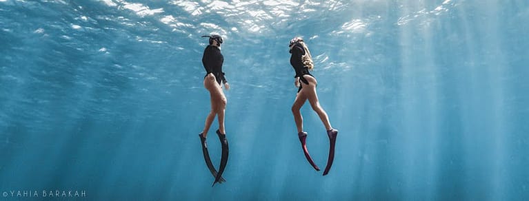Read more about the article Launching of My Freediving Instructor.com Marketplace
